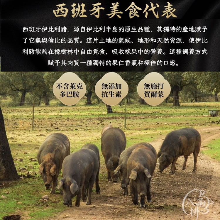 【八兩排】伊比利松阪豬肉230克/片-細節圖5