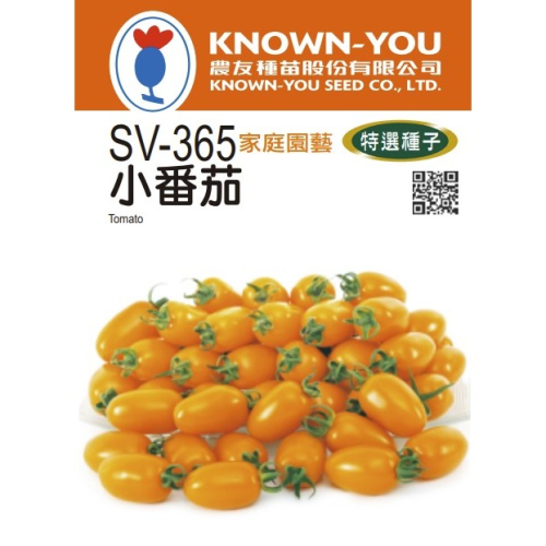 【台灣出貨 附發票】小番茄(橙黃) 種子 20粒 菜籽 果菜 水耕 番茄 農友 空中花園藝世界 特選種子 SV-365
