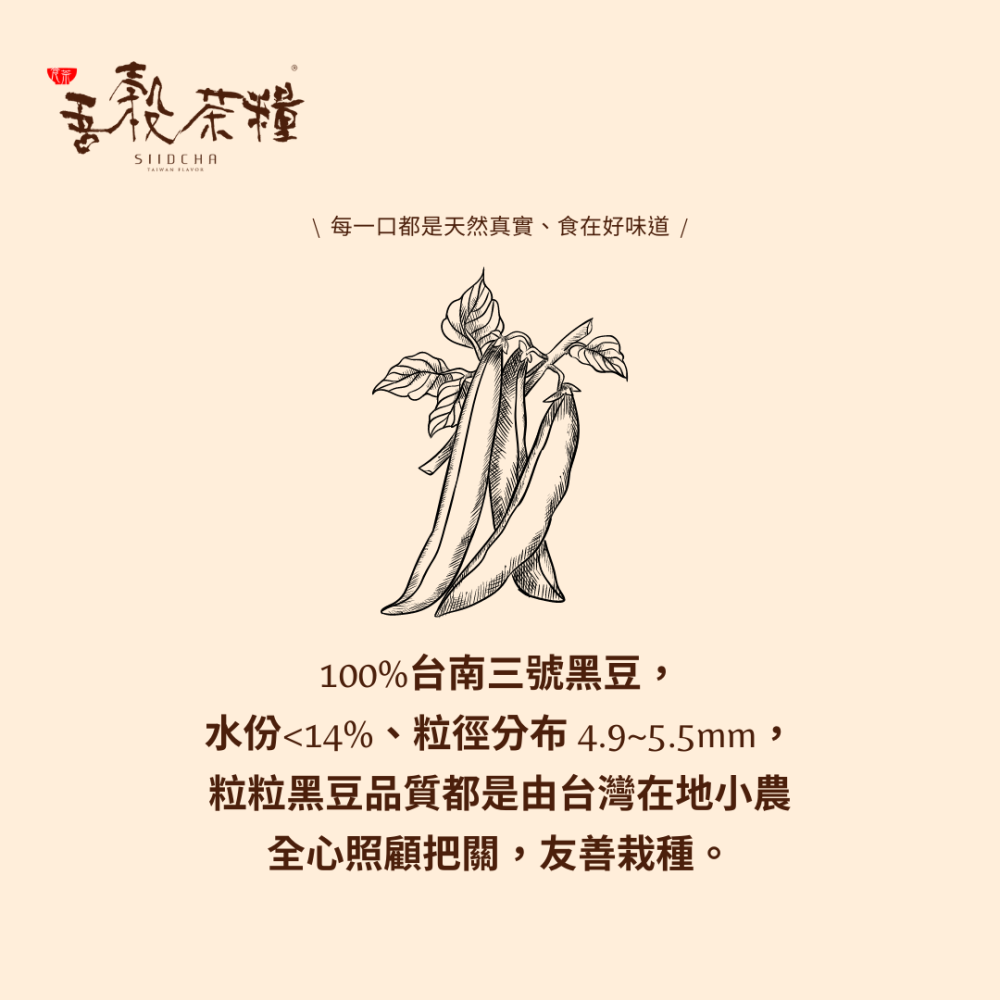在地小農 伴手禮推薦-黑豆茶 20入/包 熱泡風味濃郁 天然 純素 無添加-細節圖3
