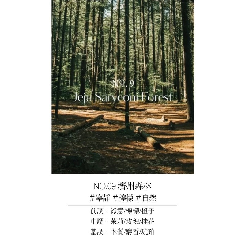 NO.09 濟州森林 單入