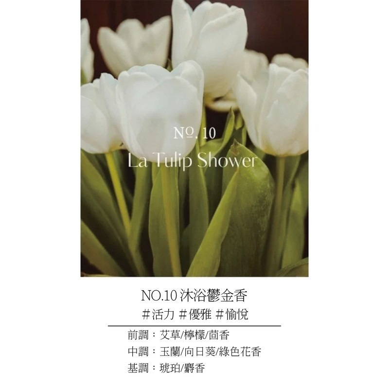 NO.10 沐浴鬱金香 單入
