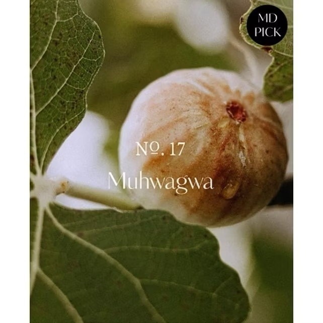 韓國 Hetras 大容量香療沐浴露 香氛沐浴乳 保濕 美白 沐浴乳 交換禮物-規格圖9