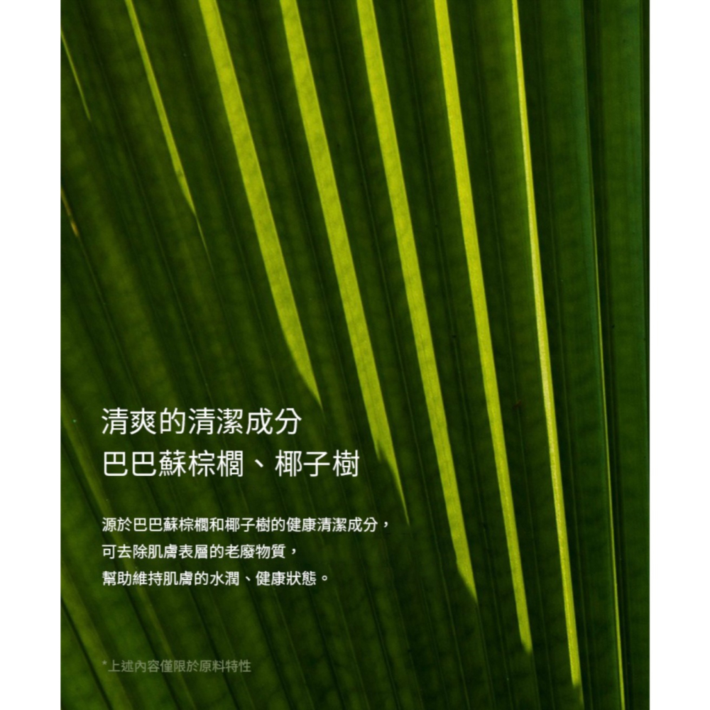 現貨 韓國 Nard 香氛洗手乳 茶樹迷迭香 280mL 洗手液 抗菌洗手乳 K1006-細節圖3
