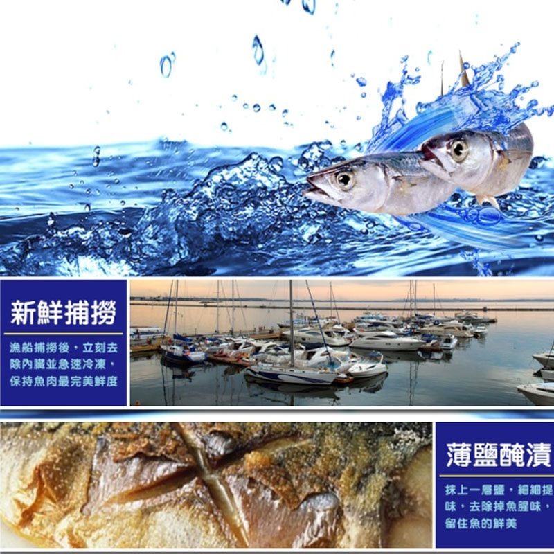 【老爸ㄟ廚房】正宗頂級特上挪威鯖魚片M-細節圖3