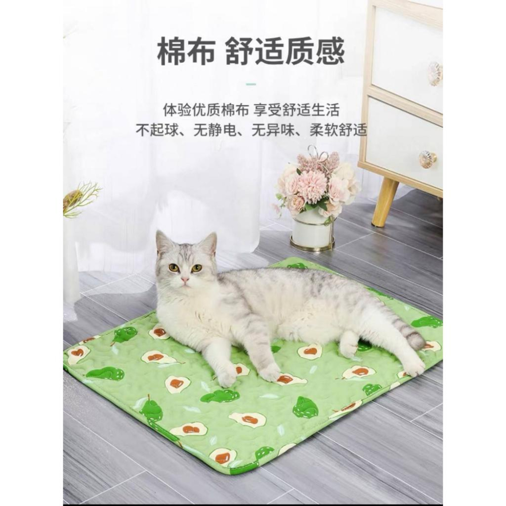 舒適純棉寵物墊不挑款/現貨不用等-細節圖2