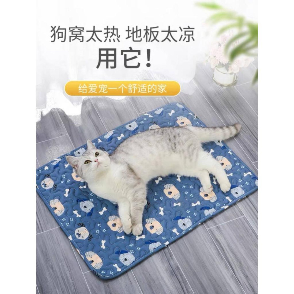 舒適純棉寵物墊不挑款/現貨不用等-細節圖3
