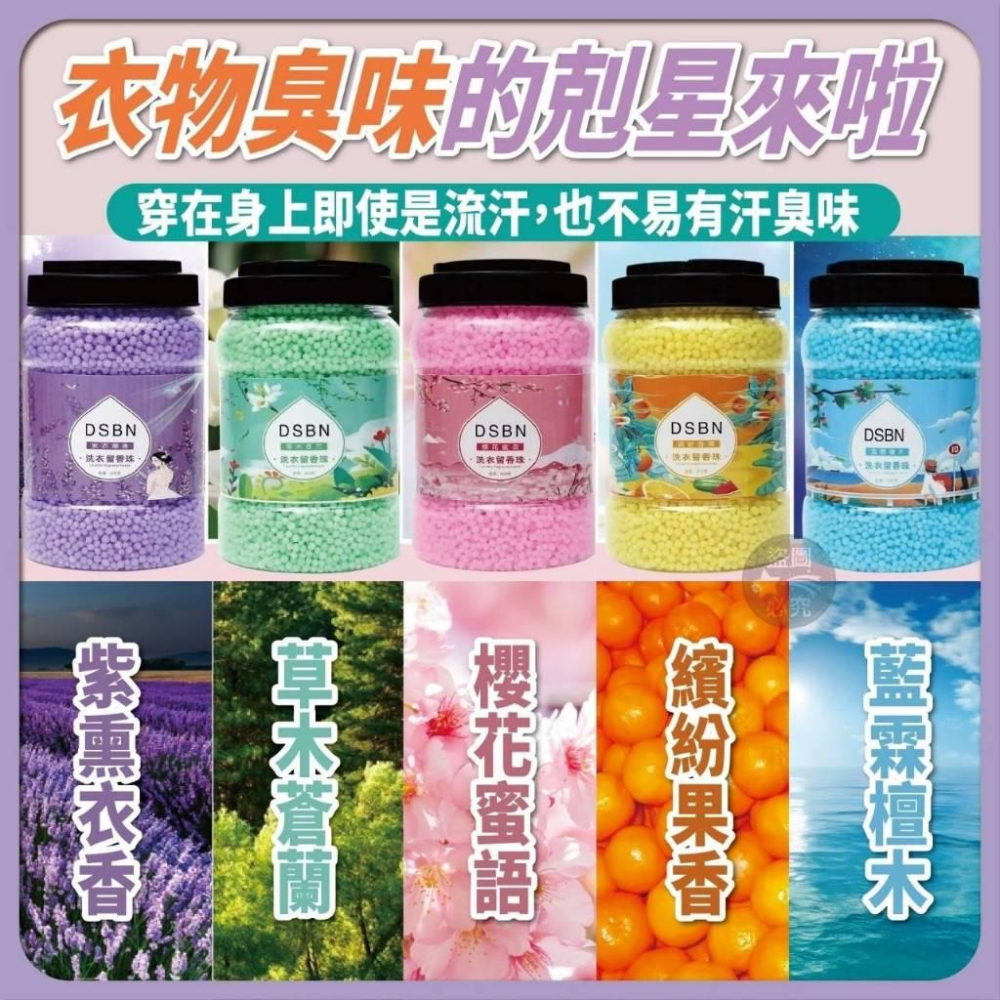 大容量洗護衣留香珠800G/現貨不用等-細節圖5