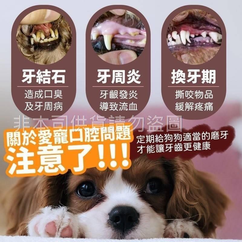 健康紀元寵物零食/現貨不用等-細節圖2