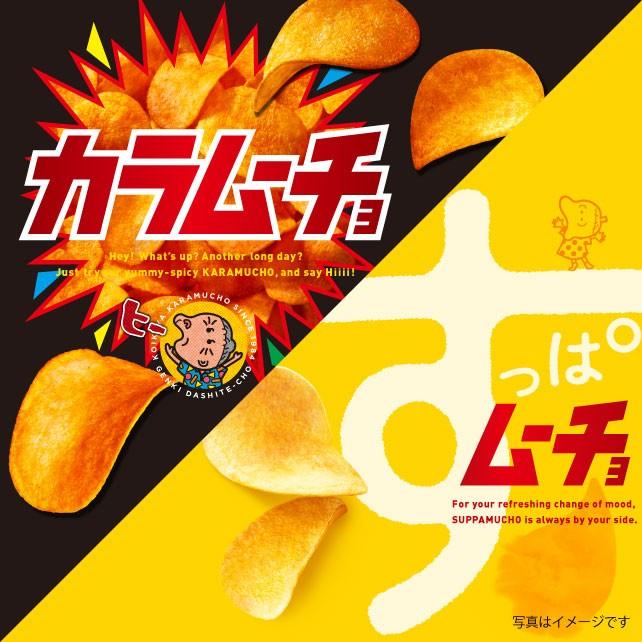 【無國界零食屋】日本 境內版 湖池屋 全系列 洋芋條 洋芋片 餅乾 海苔 辣味 鹽味 薯片 薯條 厚切 岩鹽 松露-細節圖8