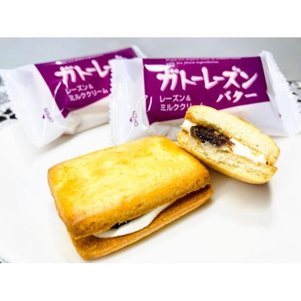 【無國界零食屋】日本 北日本 全系列 Bourbon 葡萄 奶油 夾心餅 萊姆葡萄 奶油葡萄夾心 巧克力 洋芋片 餅乾-細節圖5