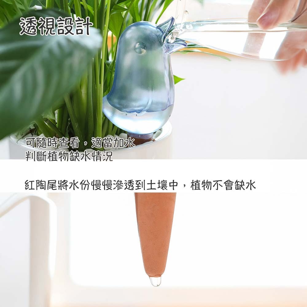 小鳥澆花滴水器 自動滲水 自動滴水 懶人澆花 澆花 自動澆花 辦公室 休假-細節圖5