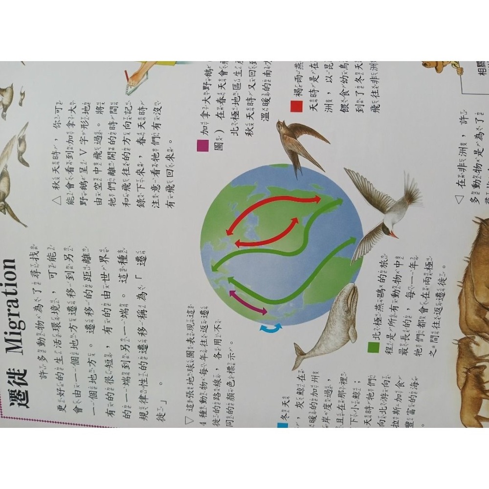 小牛津兒童基礎百科 一套14本 生活科學 人體科學 生物科學 童書 科普 注音 百科全書 小牛津國際文化有限公司 書籍-細節圖3