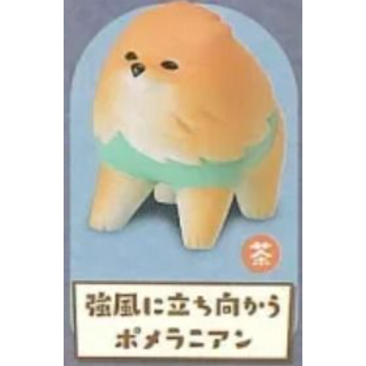 Stand stones 動物愛好系列 散步博美公仔 茶 抵擋強風的茶色博美犬 博美犬 轉蛋 扭蛋-細節圖4