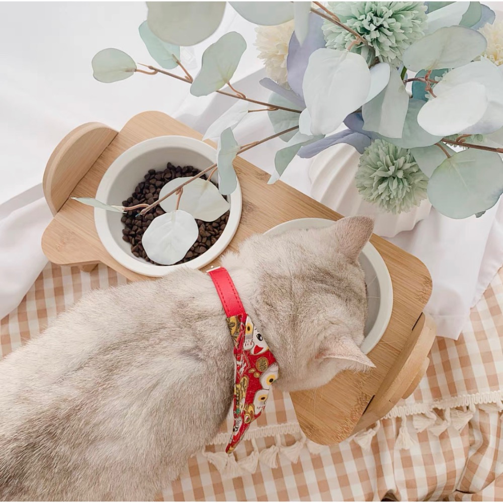 快速出貨【貓房東 CatLandlord】木製可調節保護頸椎寵物陶瓷雙碗-細節圖3
