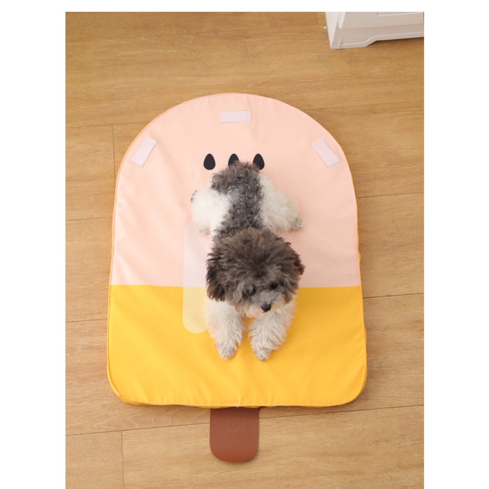 快速出貨【貓房東 CatLandlord】冰棒造型寵物睡墊 寵物墊-細節圖4
