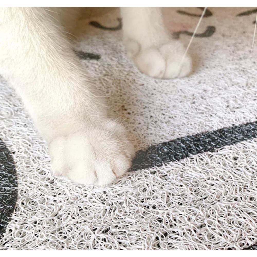 快速出貨【貓房東 CatLandlord】貓砂墊防滑墊-細節圖2