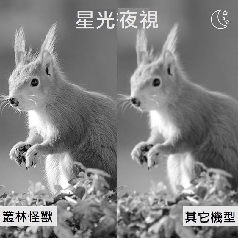 【現貨 無聲勝有聲】叢林怪獸 廣角雙鏡頭 動偵機 叢林機 紅外線自動相機 縮時錄影 打獵相機 日夜分鏡 防盜監視器 監視-細節圖3