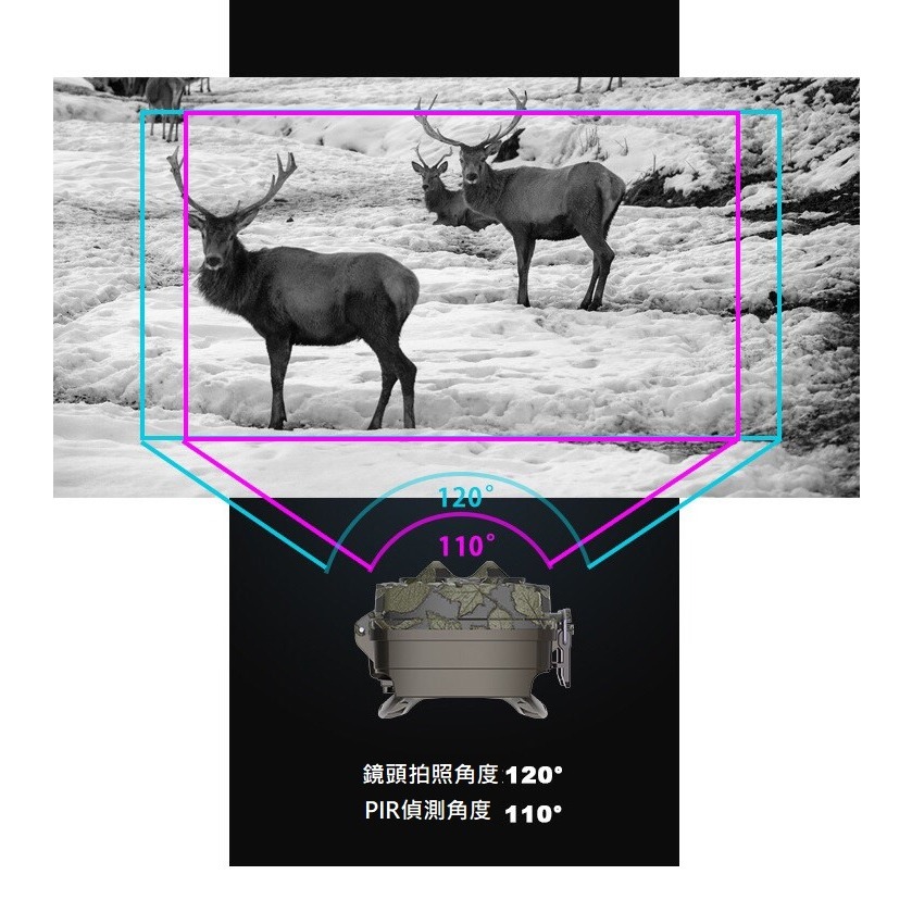 【現貨 無聲勝有聲】叢林怪獸 廣角雙鏡頭 動偵機 叢林機 紅外線自動相機 縮時錄影 打獵相機 日夜分鏡 防盜監視器 監視-細節圖7