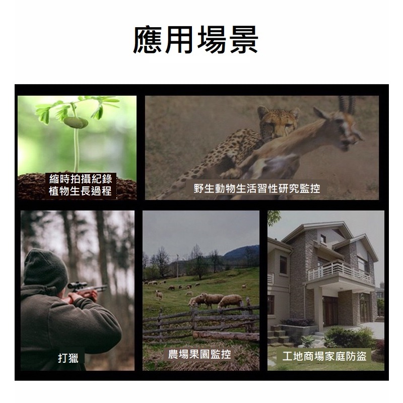 【現貨 無聲勝有聲】叢林怪獸 廣角雙鏡頭 動偵機 叢林機 紅外線自動相機 縮時錄影 打獵相機 日夜分鏡 防盜監視器 監視-細節圖9