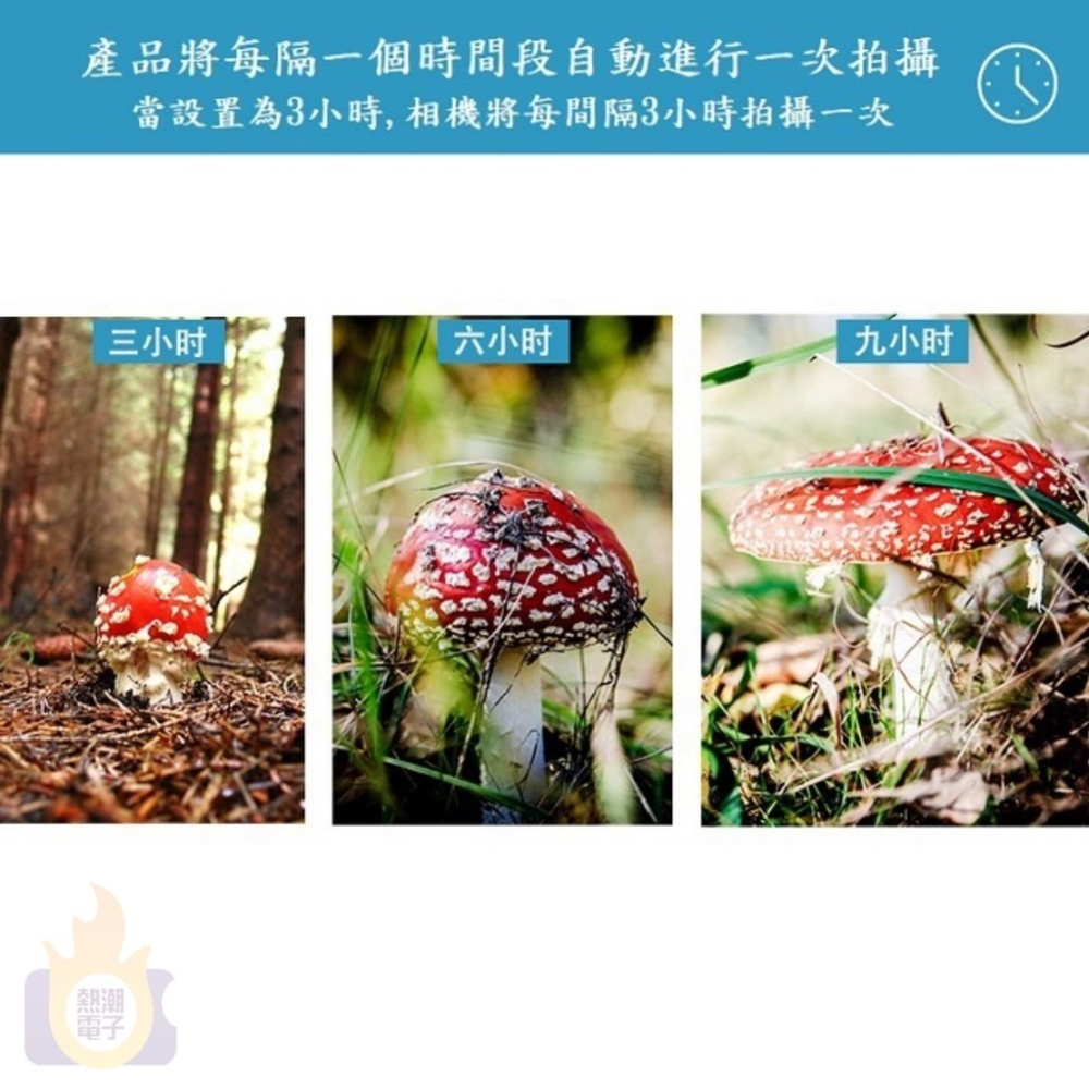 【現貨  贈8顆電池】 戶外攝影機 農田 果園 林園 居家 監視器 紅外線感應 動偵機 叢林機 縮時防盜 監控 紀錄-細節圖8