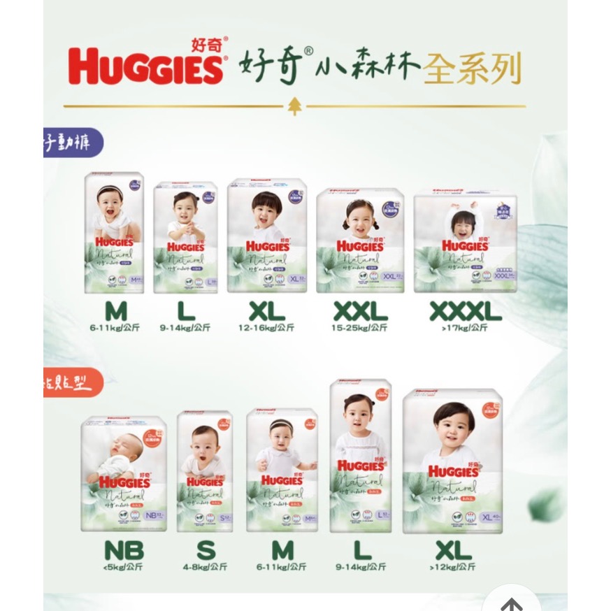 好奇小森林好動褲M48*2包-細節圖2