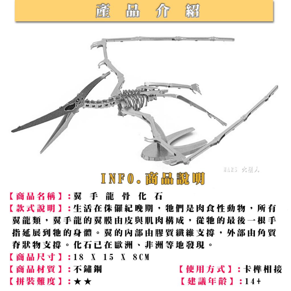 鋼鐵火星人益智玩具★ 侏儸紀-骨化石 ★拼酷★MU藝模★3D立體金屬拼圖★DIY金屬模型-細節圖3