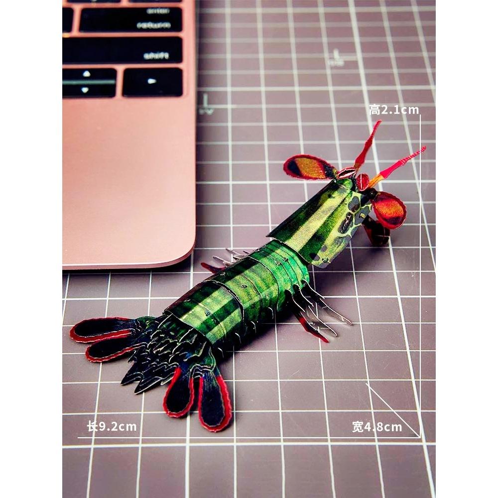 鋼鐵火星人益智玩具★雀尾螳螂蝦★拼酷★MU藝模★3D立體金屬拼圖★DIY金屬模型-細節圖3