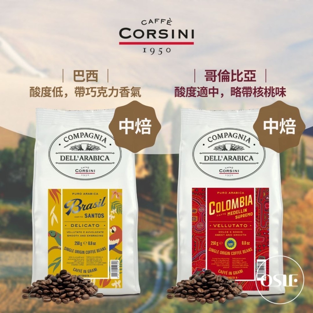 【義大利CORSINI】 單品咖啡豆 (250g/包)-細節圖4