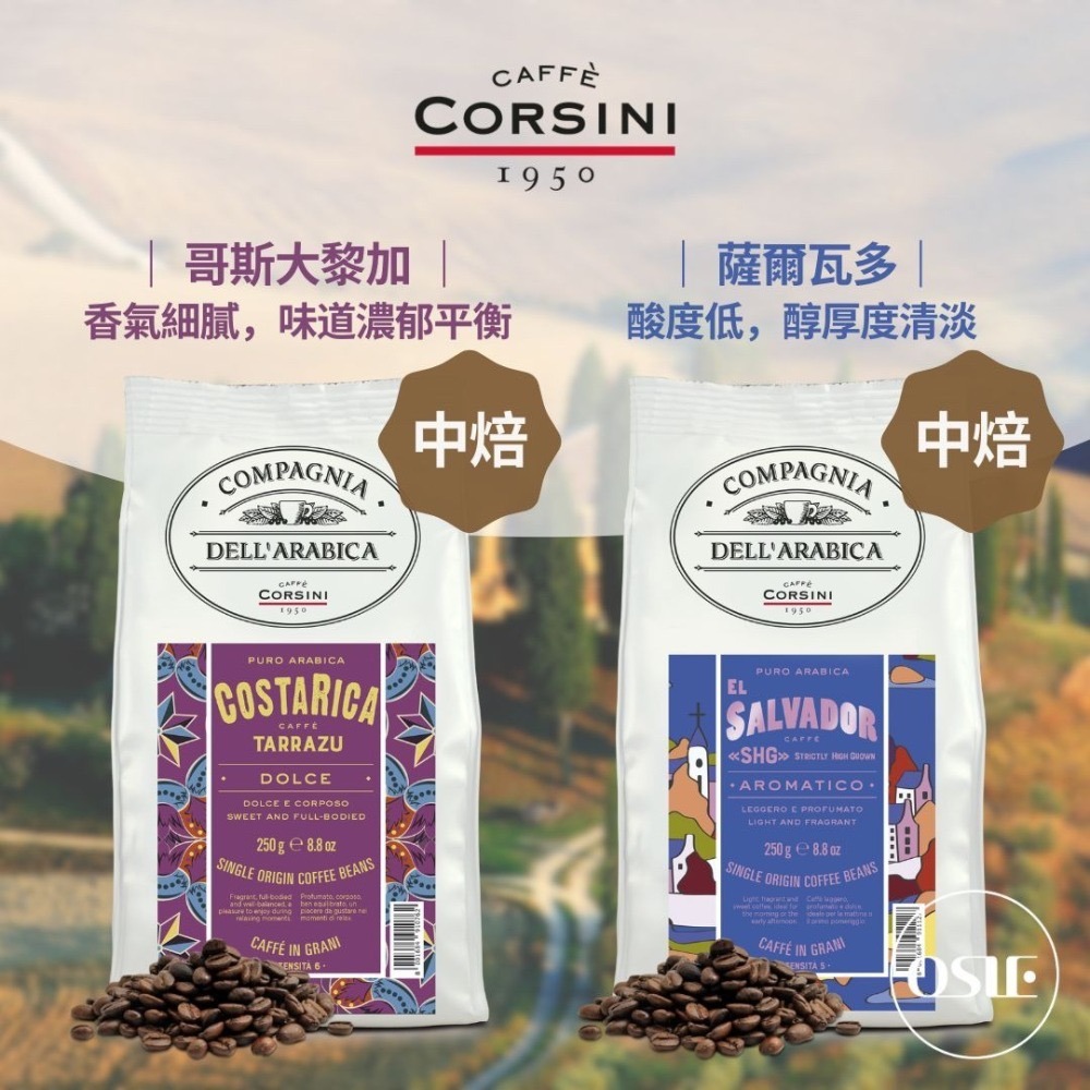 【義大利CORSINI】 單品咖啡豆 (250g/包)-細節圖6