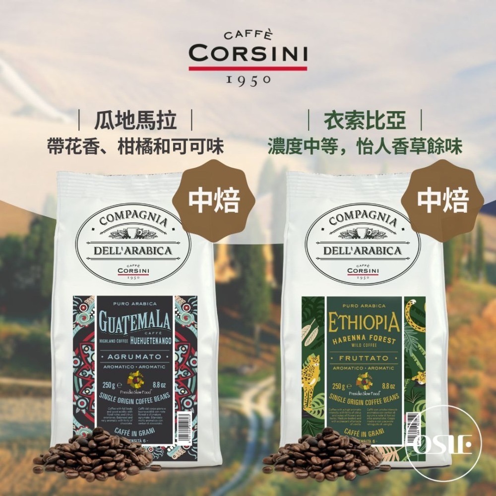 【義大利CORSINI】 單品咖啡豆 (250g/包)-細節圖7