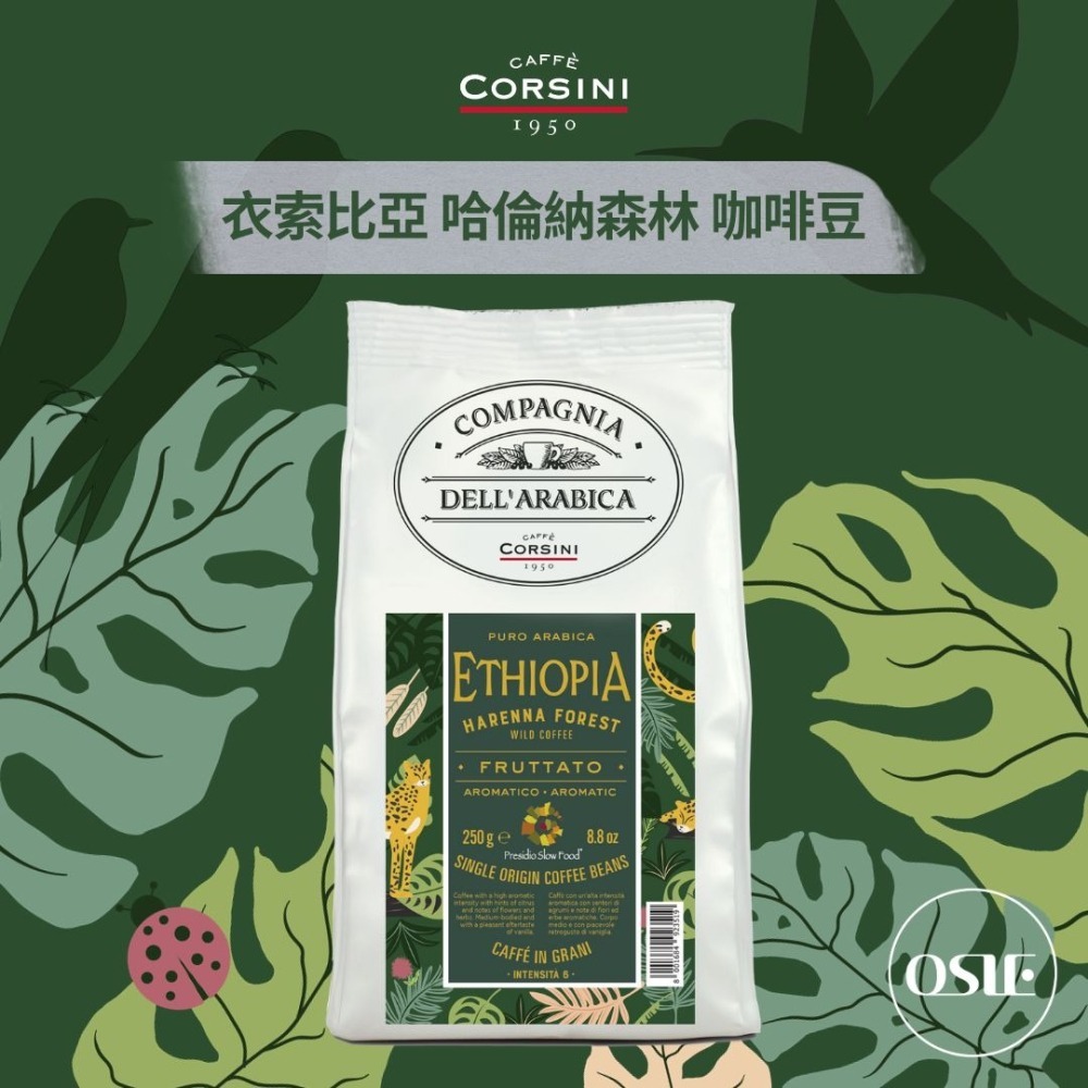 【義大利CORSINI】 單品咖啡豆 衣索比亞咖啡豆 (3kg/12包/箱)-細節圖3