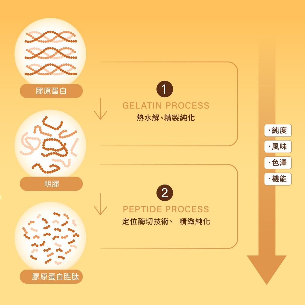 【統欣生技】TX-燕窩膠原飲 7包/盒｜含高單位膠原蛋白·含足量維生素C·增加3倍吸收率-細節圖5