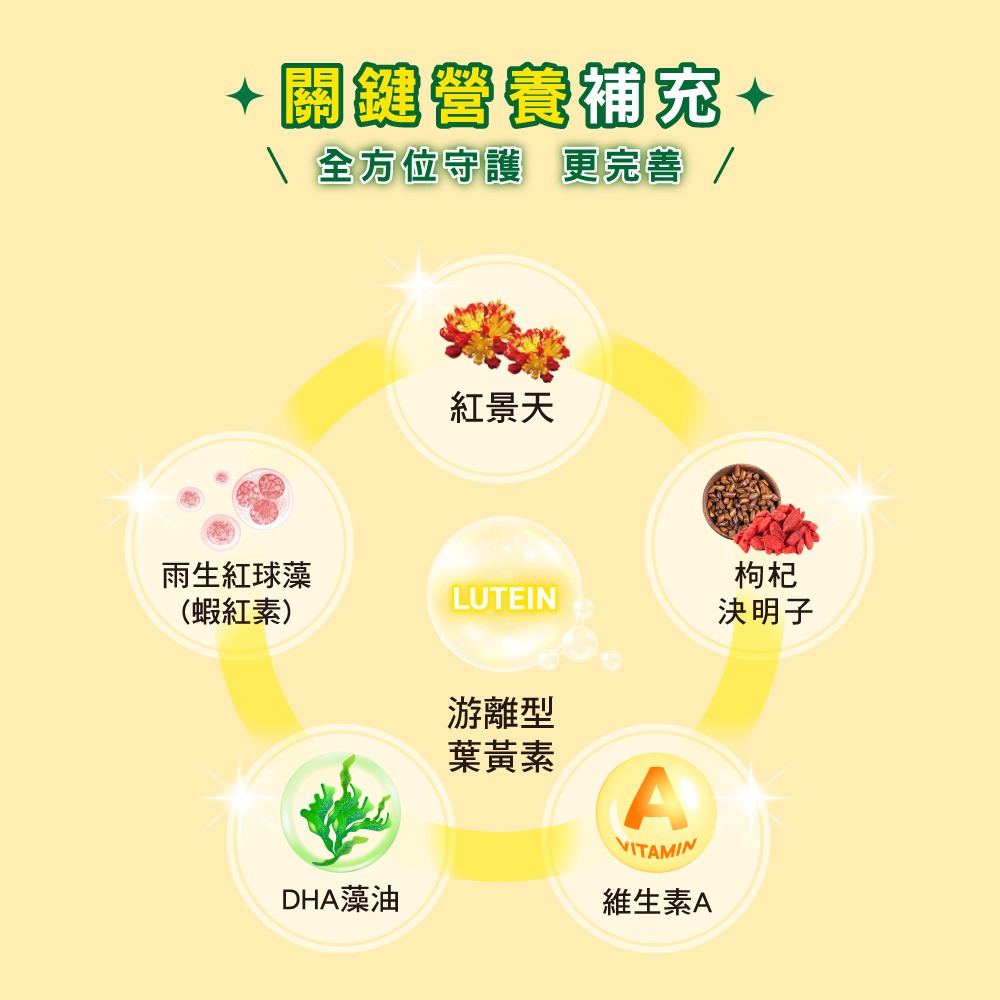 【統欣生技】液態金盞花葉黃素膠囊 60粒/盒-細節圖3