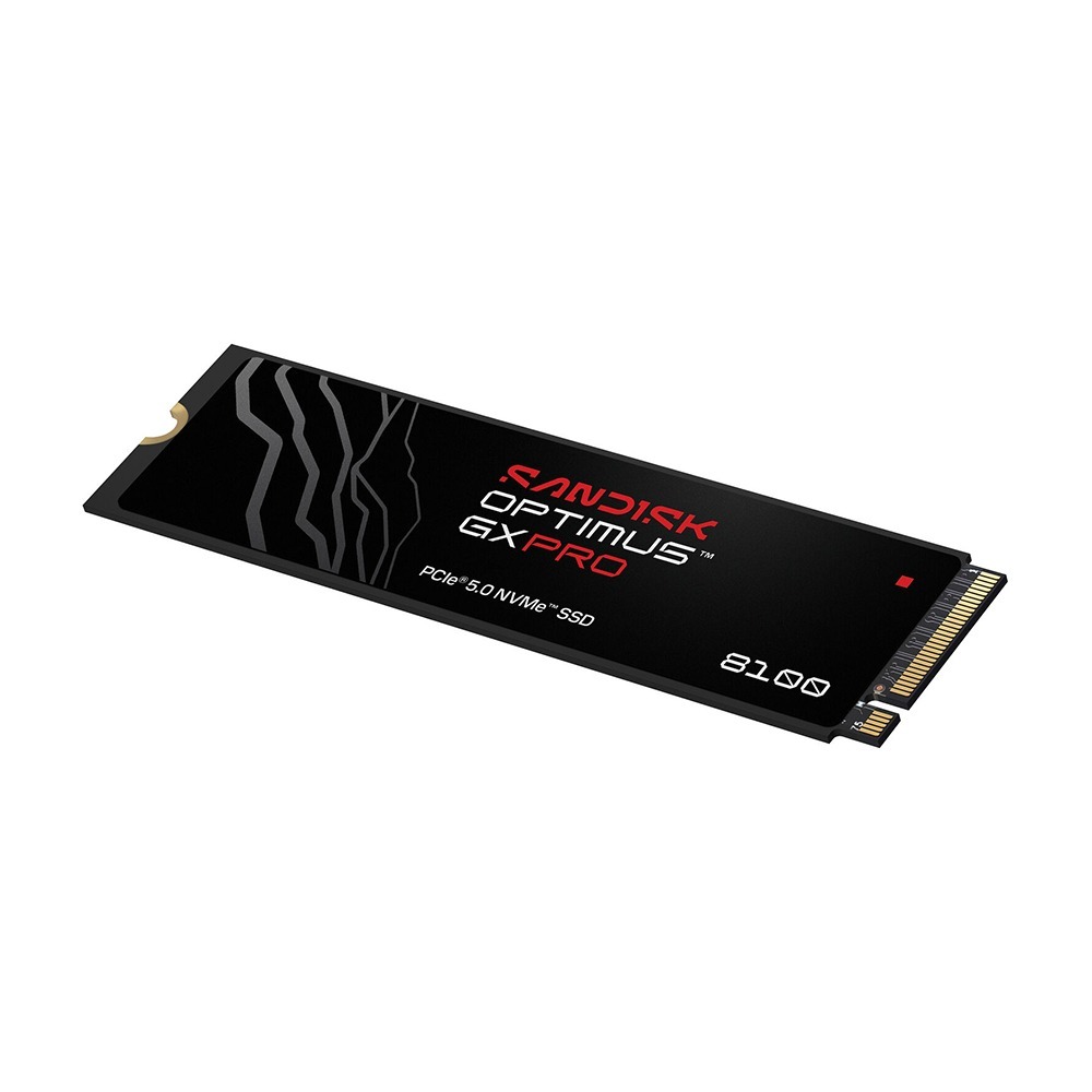 SANDISK Optimus GX PRO 8100 NVMe 1T 2T 4T SSD M.2 2280 無散熱片-細節圖2