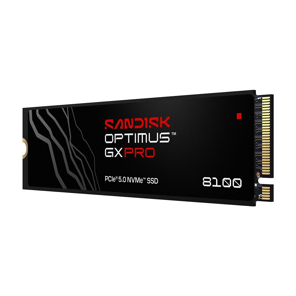 SANDISK Optimus GX PRO 8100 NVMe 1T 2T 4T SSD M.2 2280 無散熱片-細節圖3