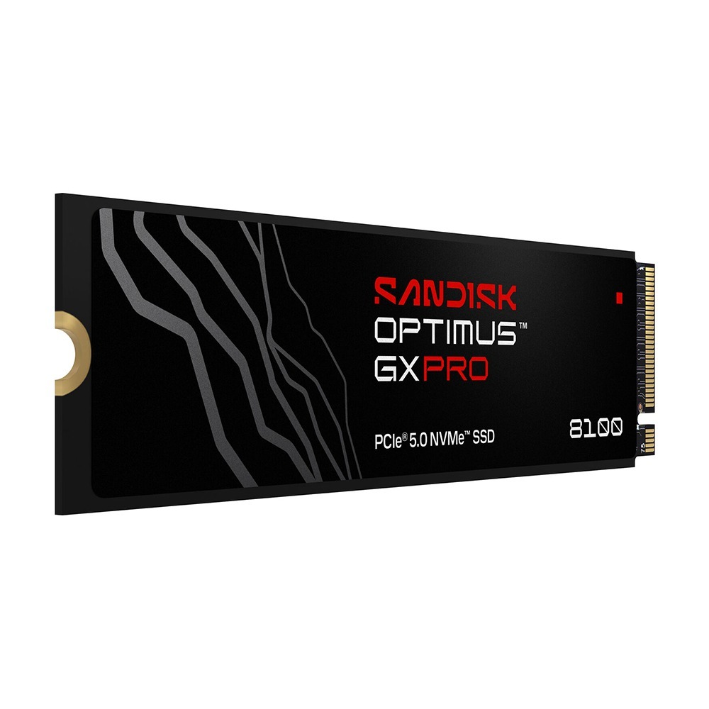 SANDISK Optimus GX PRO 8100 NVMe 1T 2T 4T SSD M.2 2280 無散熱片-細節圖4