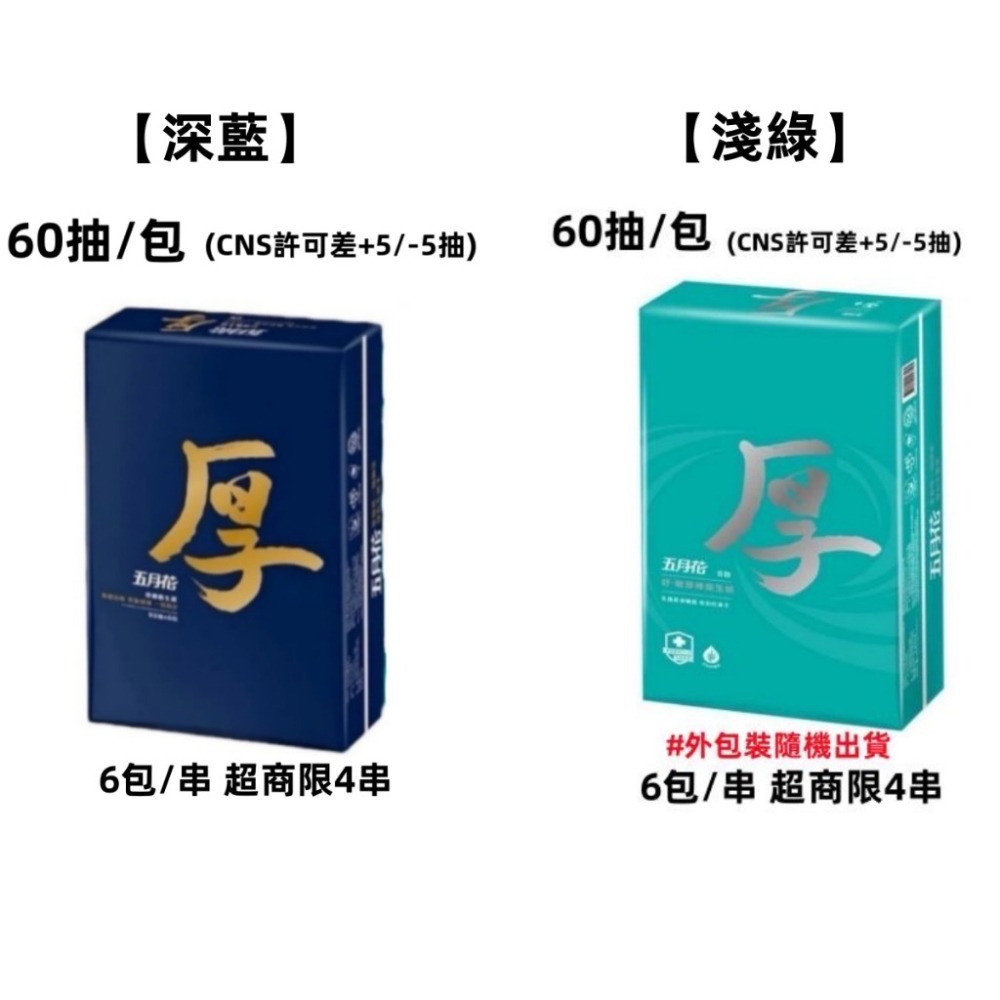 抽取式衛生紙 厚棒衛生紙【台灣公司出貨】五月花 厚棒連續抽取式衛花紋生紙60抽-細節圖3
