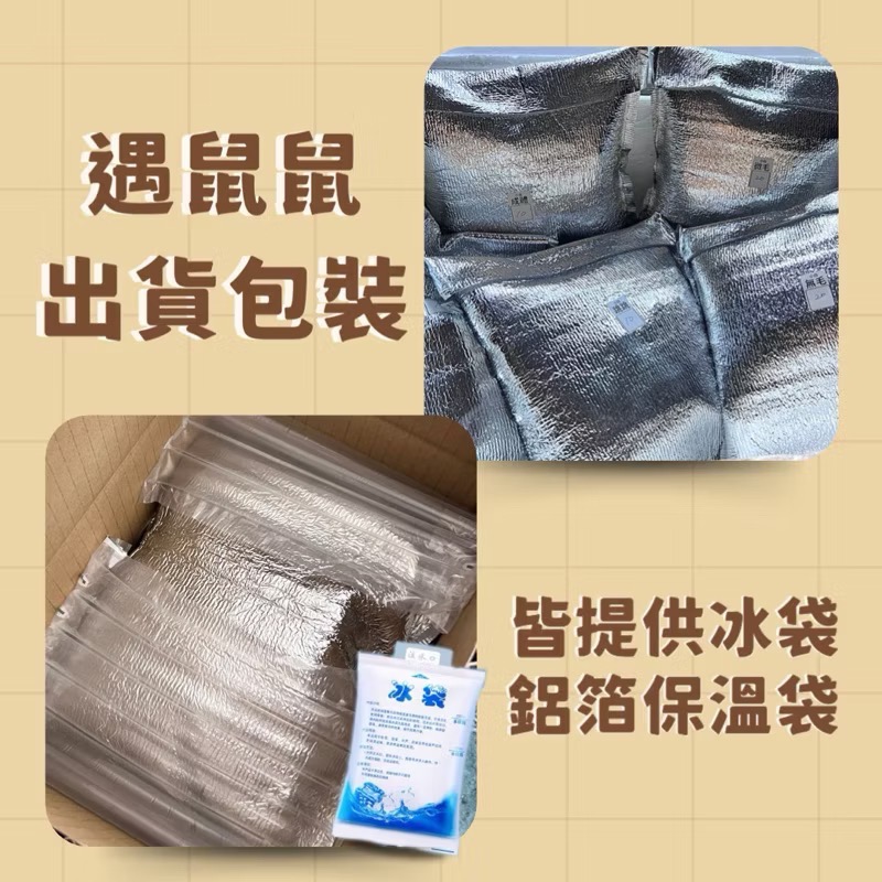 ［遇鼠鼠］冷凍小白鼠 大白鼠 冷凍鼠 餌料鼠 爬蟲 豬鼻蛇 球蟒 日齡 跳跳 亞成 成體-細節圖3