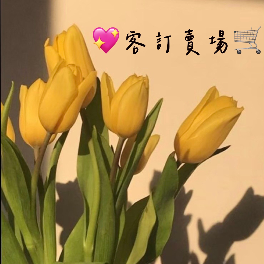 💖客訂賣場🛒-細節圖2