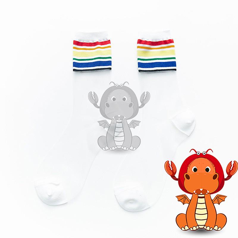 F-003 夏季薄款襪子 中筒潮襪 彩虹襪子 學院風日系襪子 玻璃絲彩色條紋女襪 唯龍購物-細節圖3