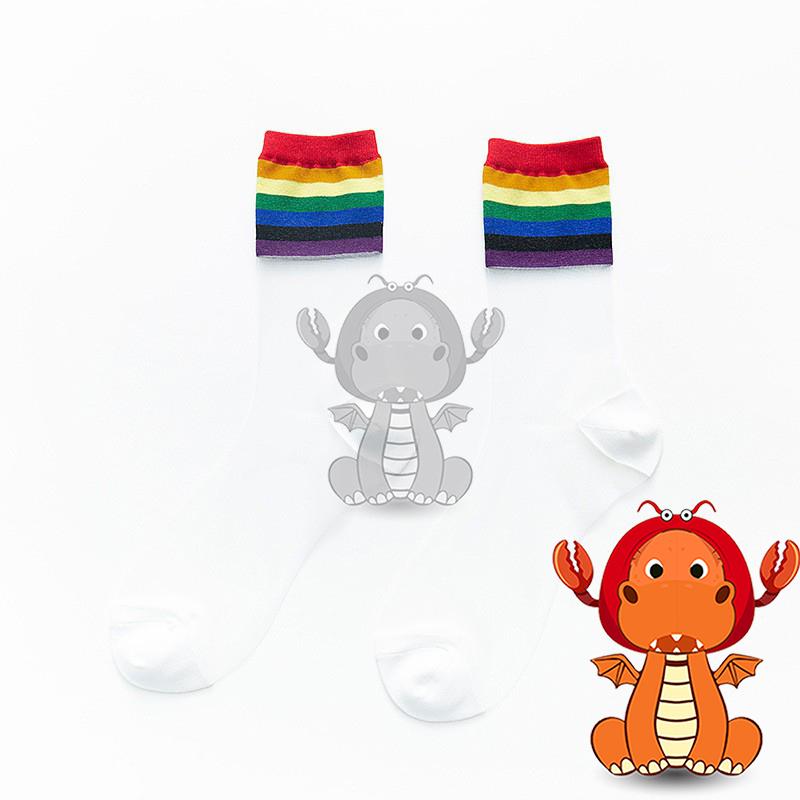 F-003 夏季薄款襪子 中筒潮襪 彩虹襪子 學院風日系襪子 玻璃絲彩色條紋女襪 唯龍購物-細節圖8