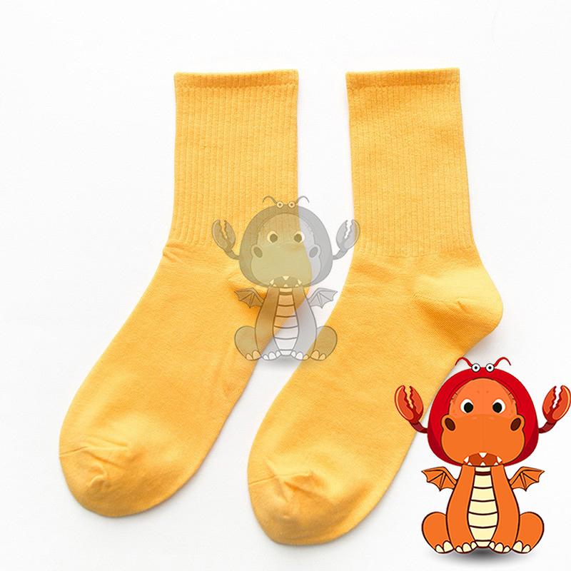 J63 韓版直條中筒 堆堆襪 純色堆襪子 襪子 中筒襪子 彩色襪子 女夏季薄款襪子 日系學院風 中筒襪-細節圖6