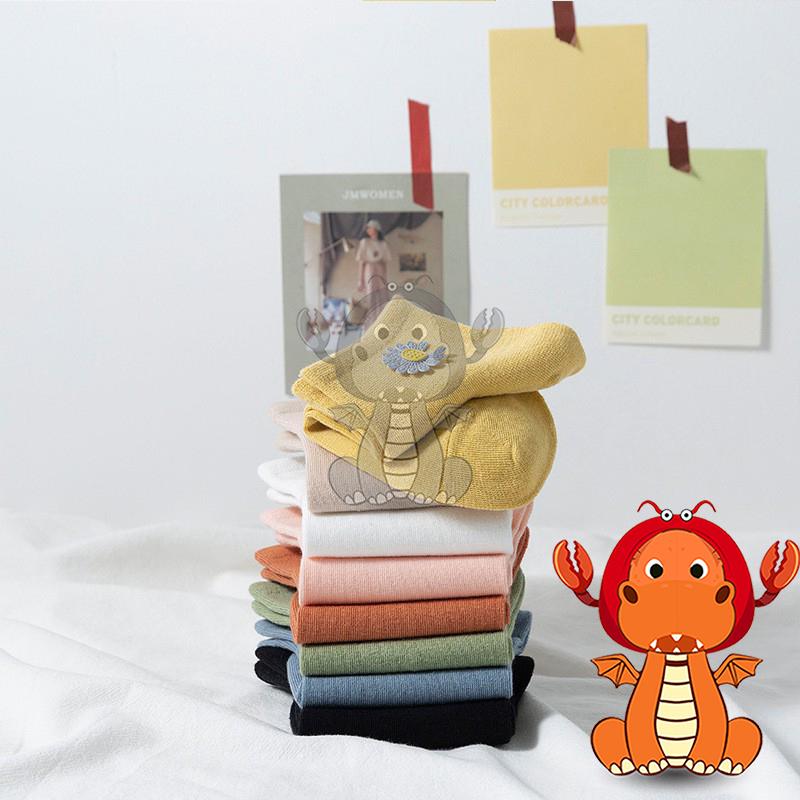 J397 夏季爆款襪子 網紅同款襪子 清新刺繡小雛菊襪子 淺口短襪 女夏天薄款襪子 純色船襪 唯龍購物-細節圖6