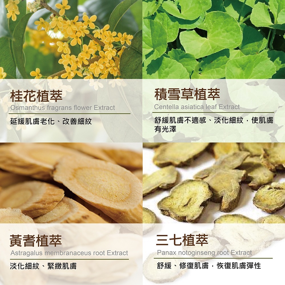 【MQ康仕儷】煥肌淨萃化妝水-清爽型(100ml)-細節圖6