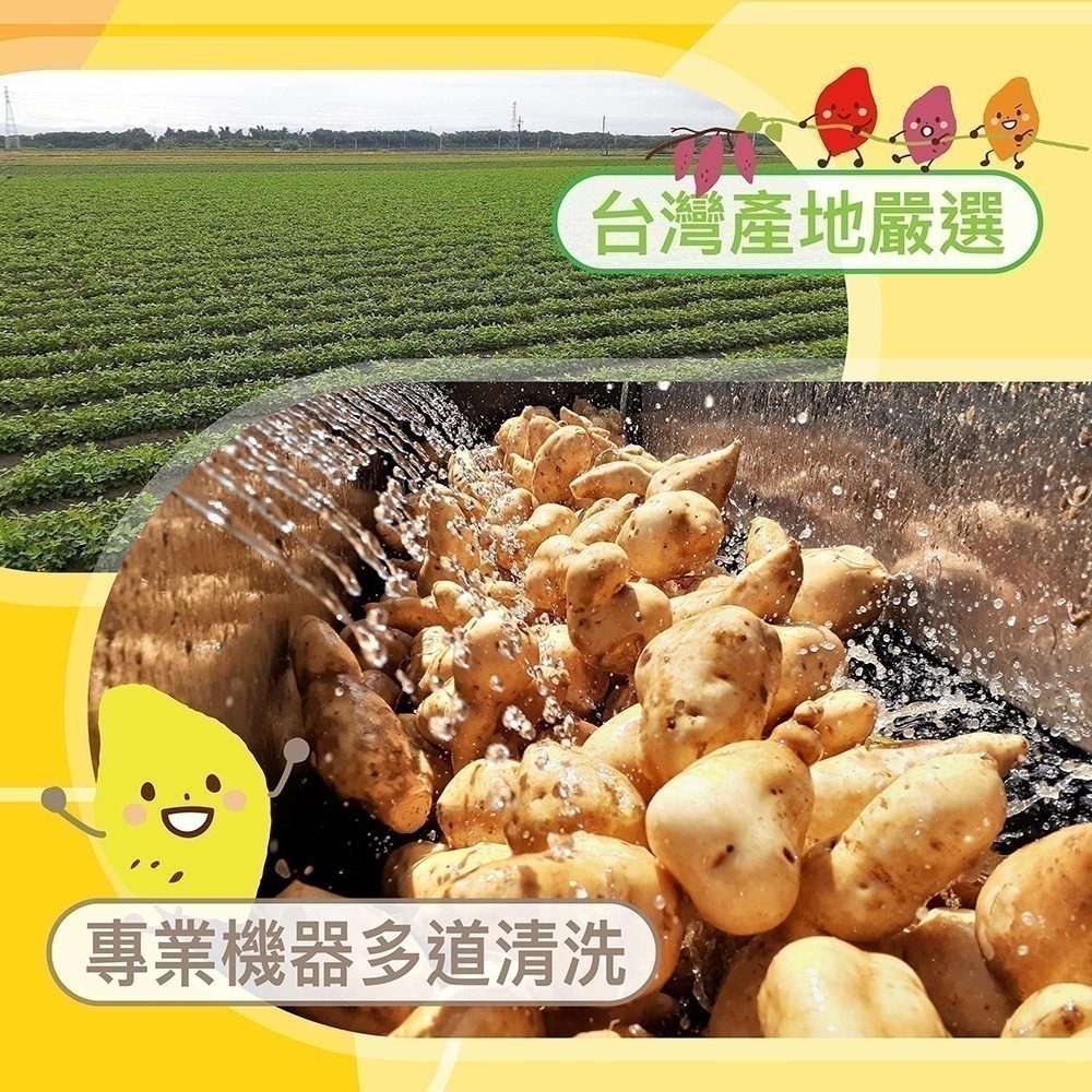 【田食原】新鮮黃金冰烤地瓜 1000g 冰心地瓜 解凍即食 冷凍番薯 健身餐 團購美食 好吃方便-細節圖4