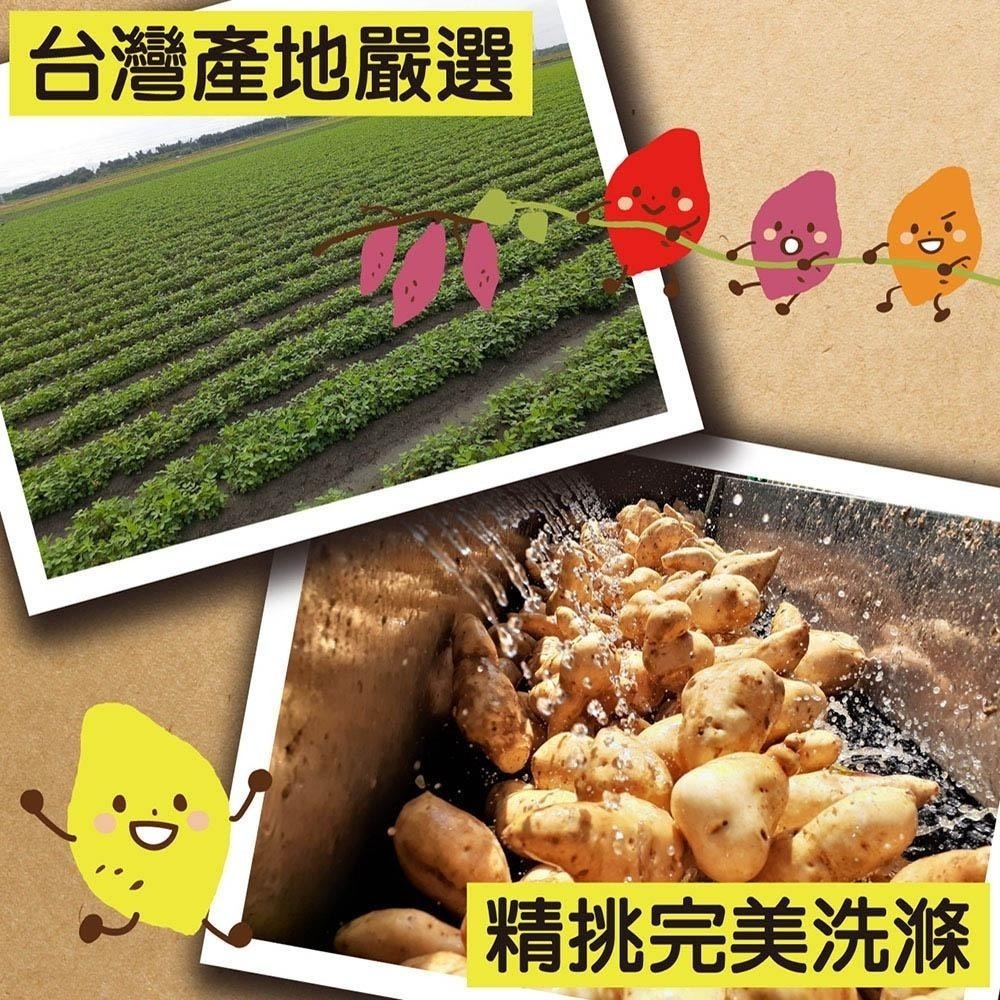 【田食原】新鮮紫心冰烤地瓜 12公斤(3公斤X4包) 業務包 餐飲飯店業 團購美食 冰心地瓜 解凍即食 冰烤番薯-細節圖3