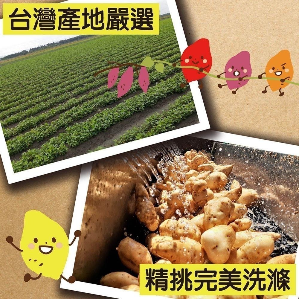 【田食原】四色切片冰烤地瓜 200g/包 冰心地瓜 露營必備 健身餐 團購美食 好吃方便 799免運-細節圖5