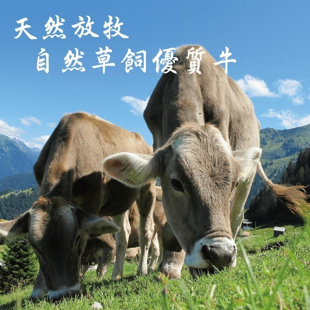 【田食原】NG福利美國板腱牛排600g/包 烤肉超大包 超值超划算 低脂肪牛肉 天然無添加 營養 惜福-細節圖5