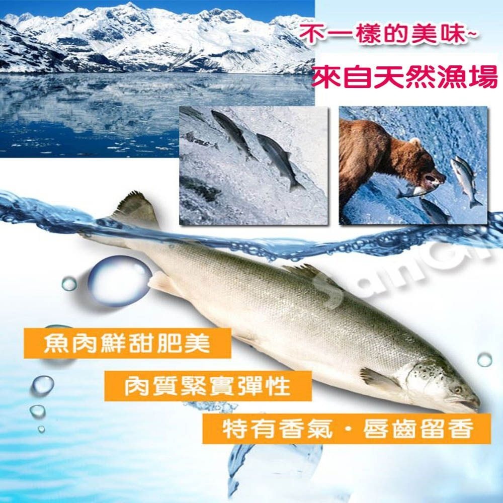 【賣魚的家】鮮味十足 野生鮭魚片-細節圖3