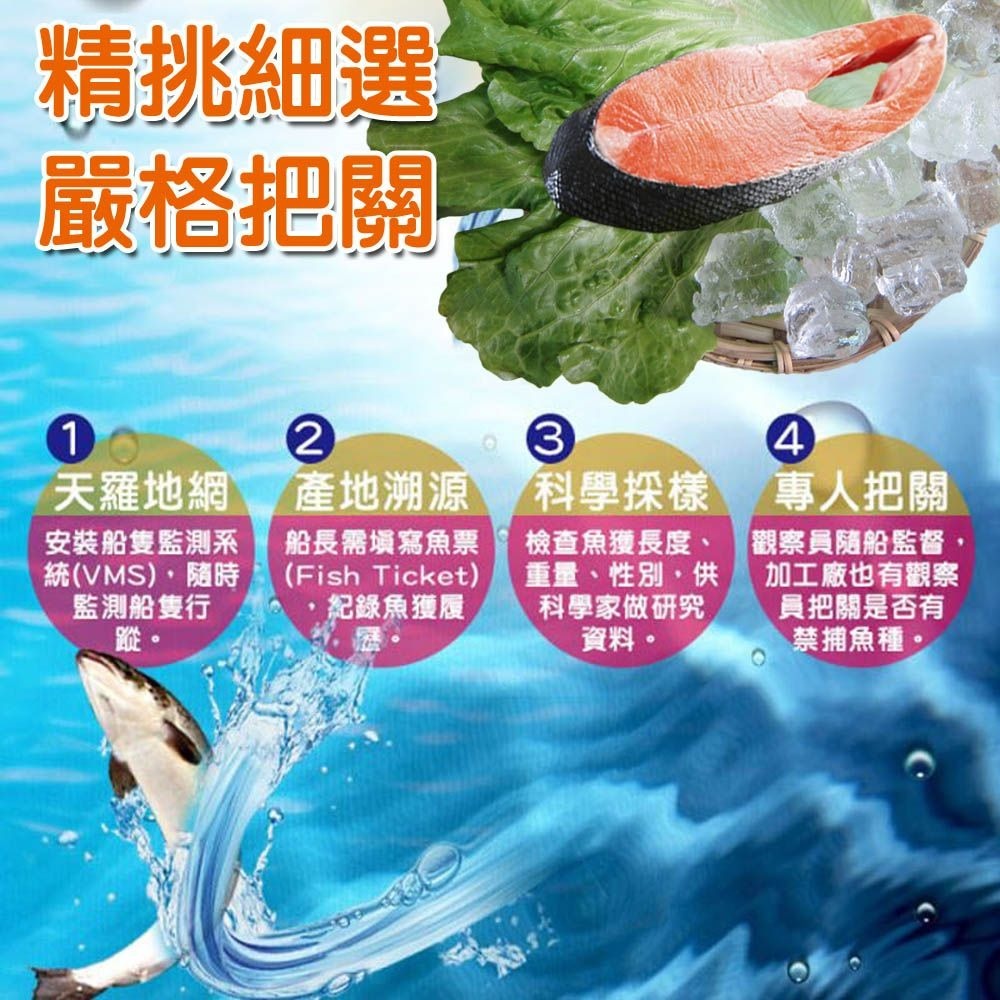 【賣魚的家】鮮味十足 野生鮭魚片-細節圖4